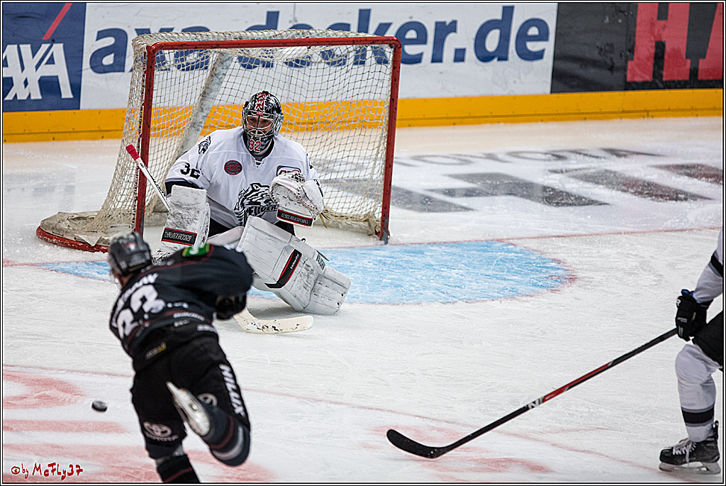 DEL, Koelner Haie - Nuernberg Ice Tiger, 24.01.2017
